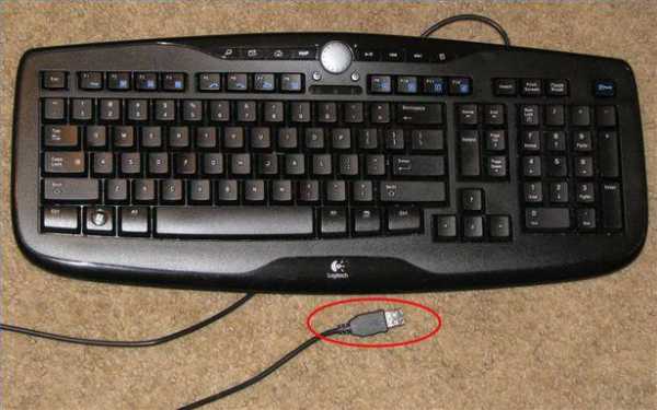 Как подключить клавиатуру к ноутбуку и можно ли это сделать